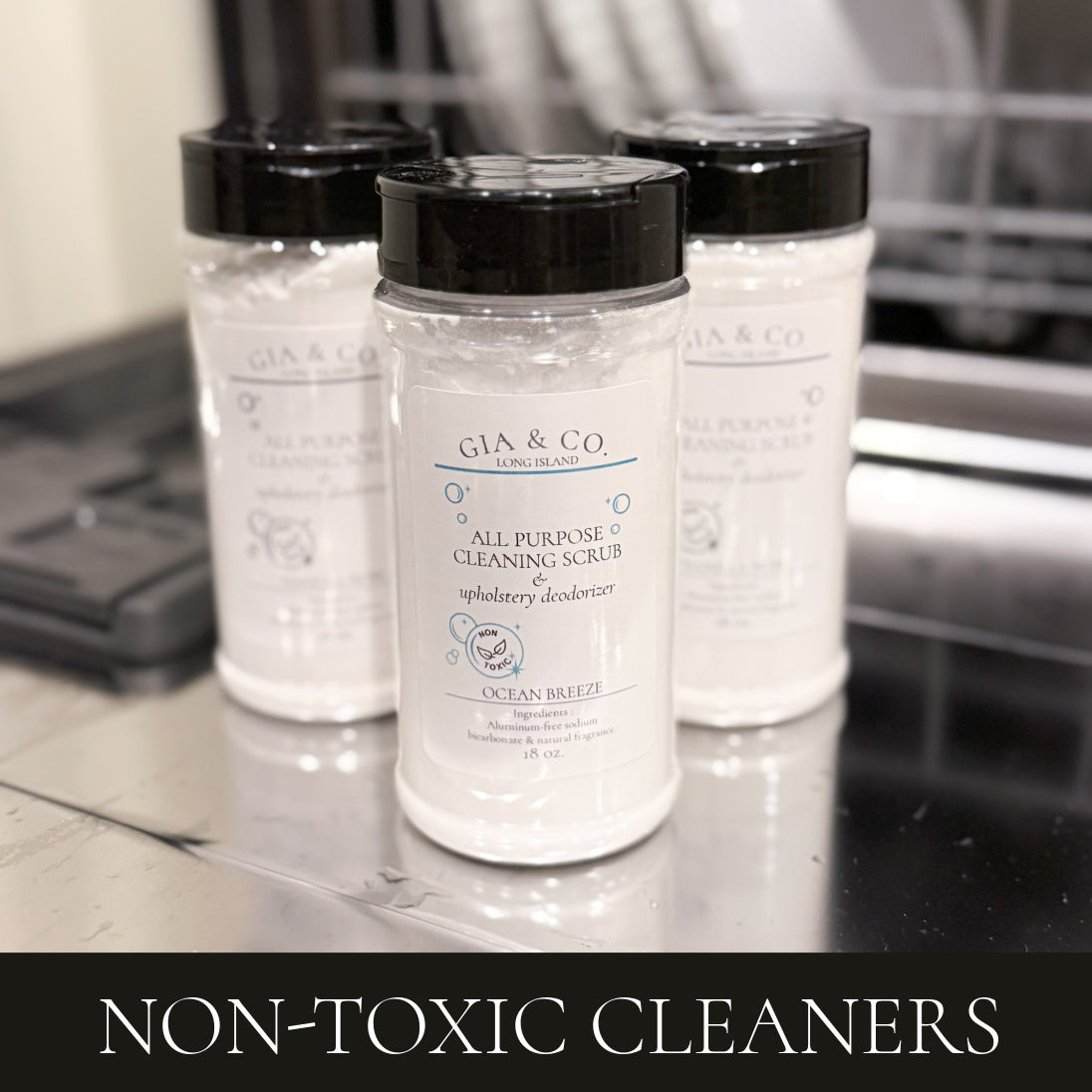 Non-Toxic Cleaners – Gia + Co